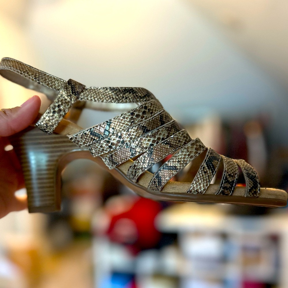 8 Aerosoles Energinic Gold Snake Skin